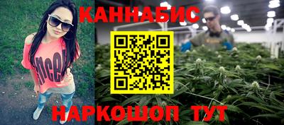 мяу мяу мука Кингисепп