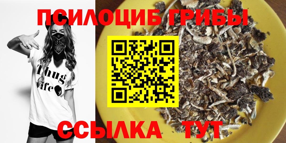 Псилоцибиновые грибы Magic Shrooms Балашов